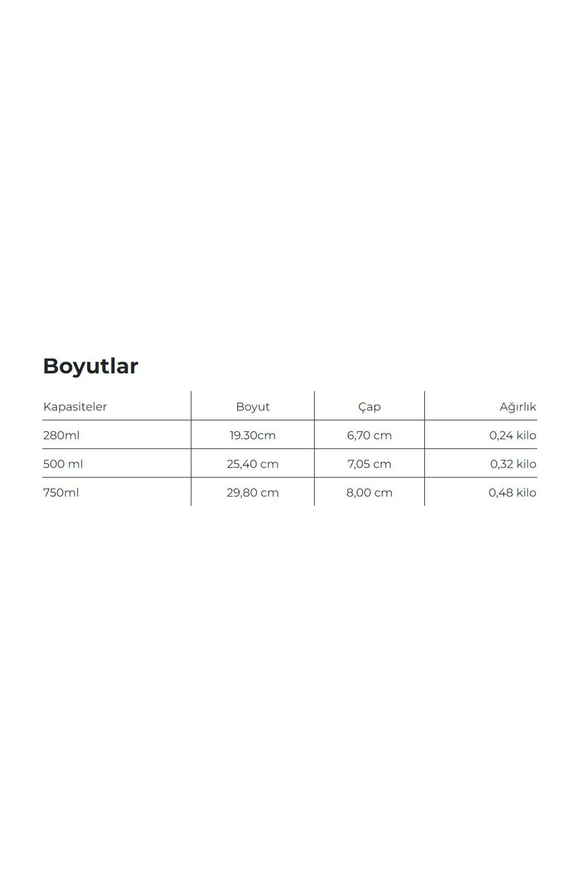 Les Artistes Paris Isı Yalıtımlı Çelik Termos Matara 500ML Seychelles