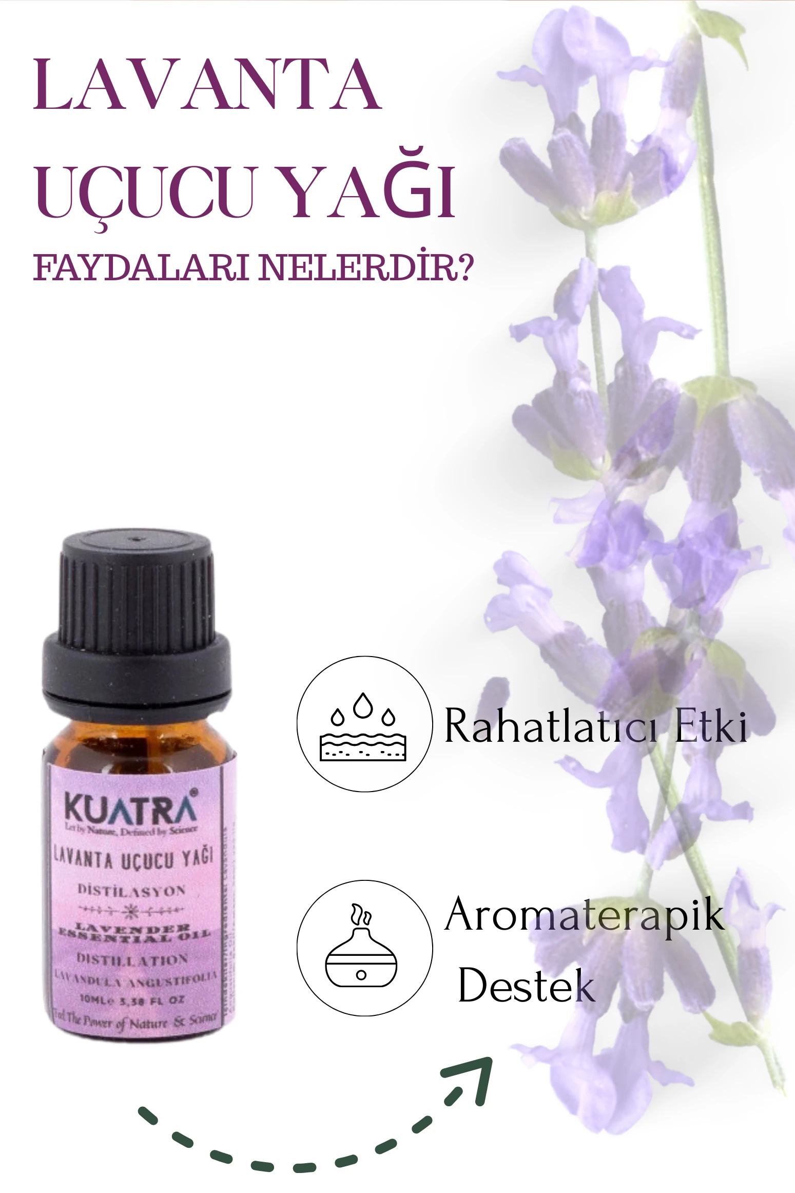Kuatra Lavanta Uçucu Yağı (Lavandula Angustifolia) 10ml