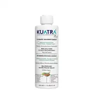 Kuatra