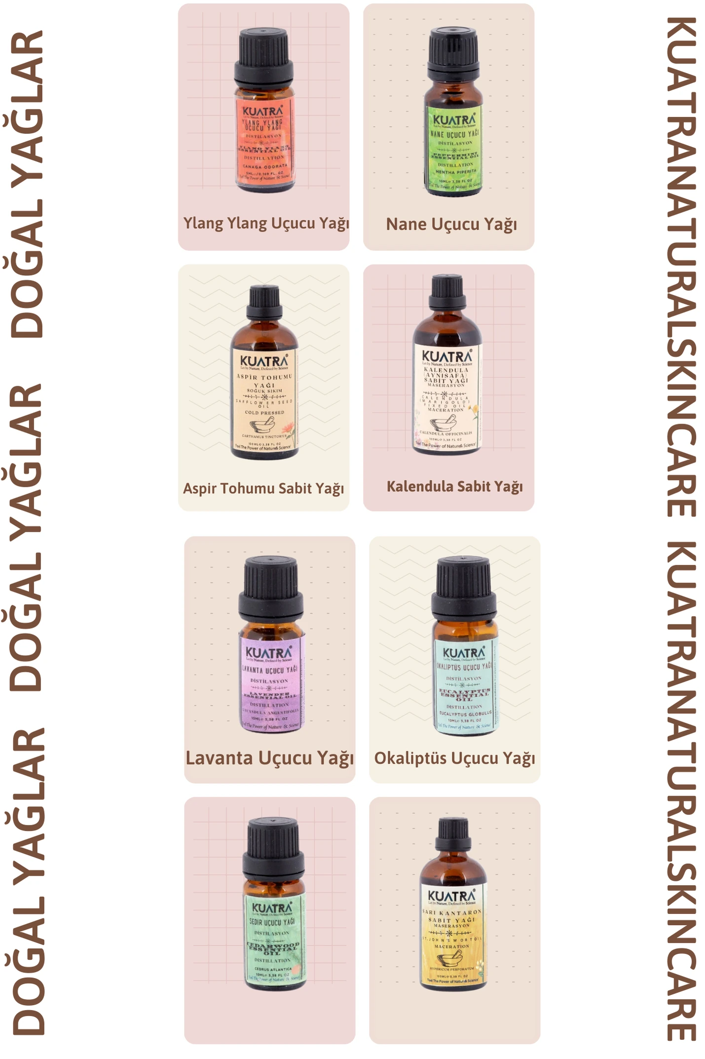 Kuatra Aspir Tohumu Sabit Yağı 100ml