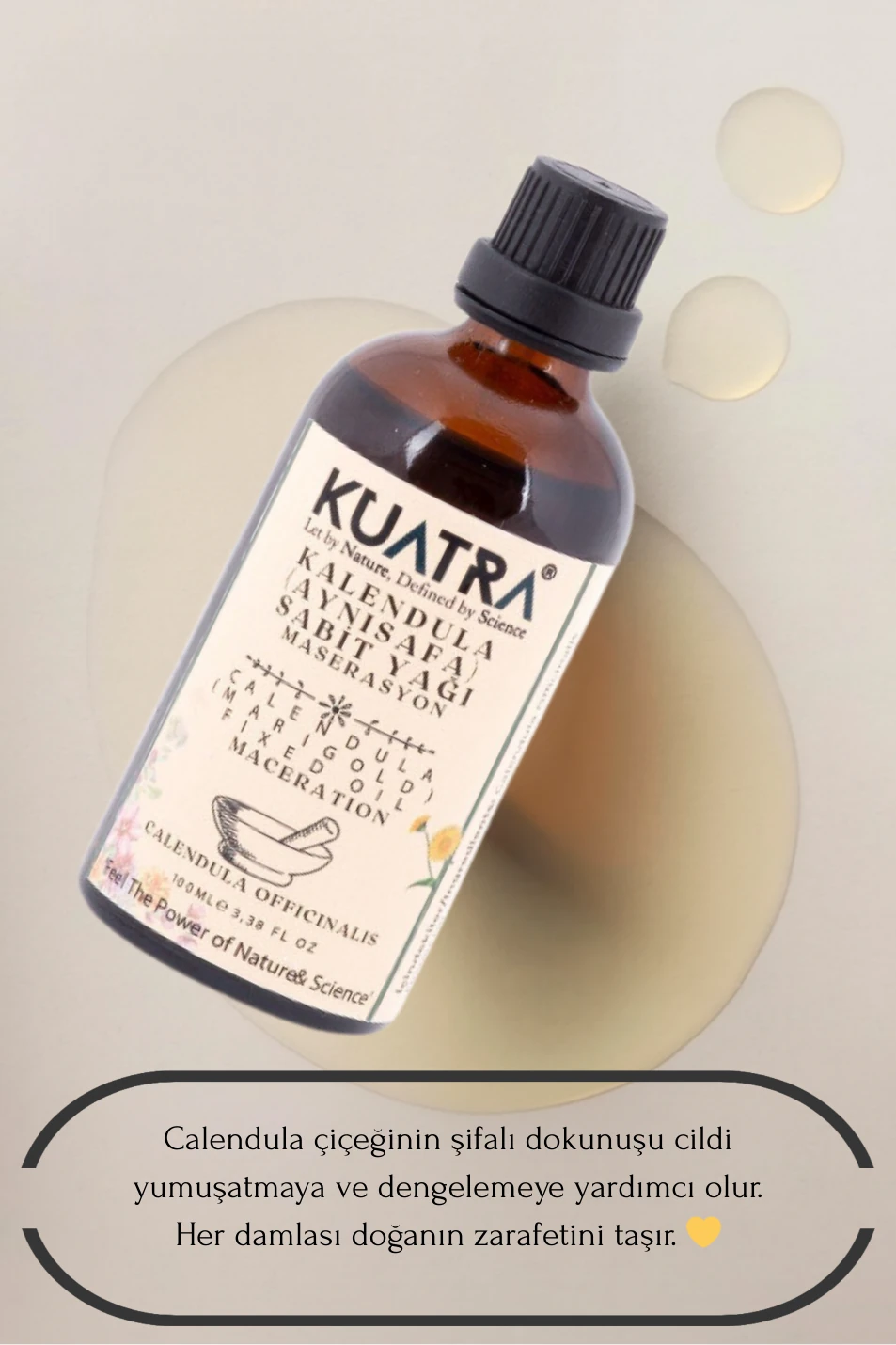 Kuatra Kalendula (Aynısefa Sabit Yağı)