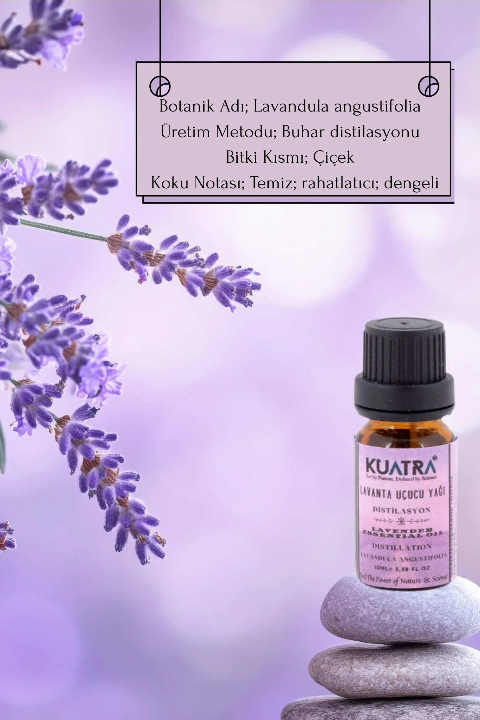 Kuatra Lavanta Uçucu Yağı (Lavandula Angustifolia) 10ml