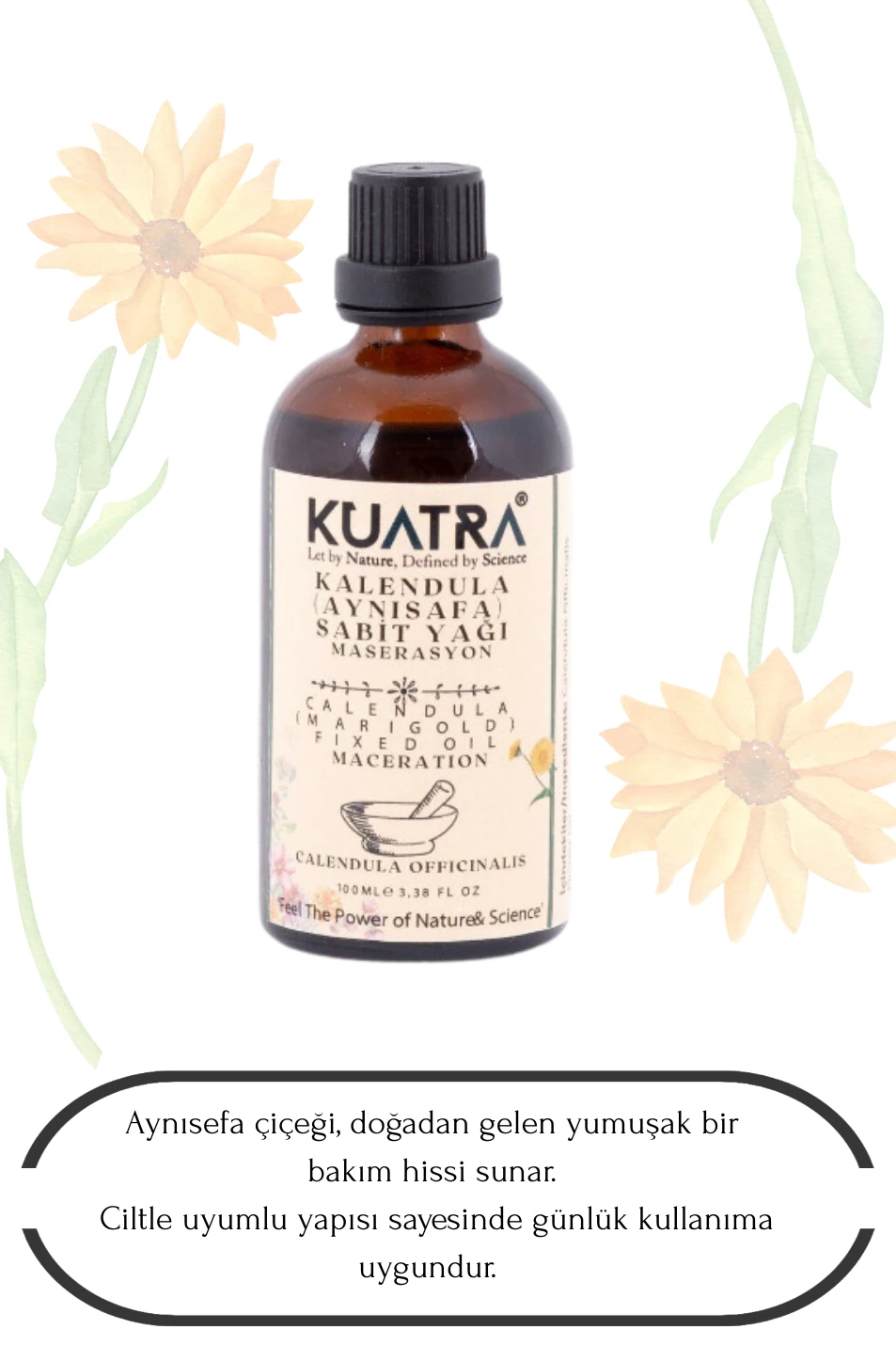 Kuatra Kalendula (Aynısefa Sabit Yağı)