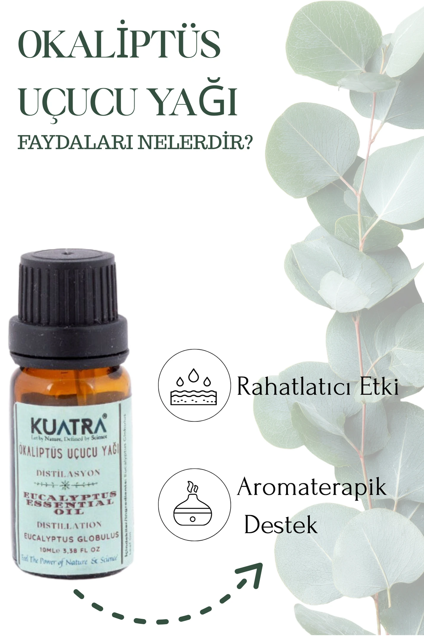 Kuatra Okaliptüs Uçucu Yağı 10ml