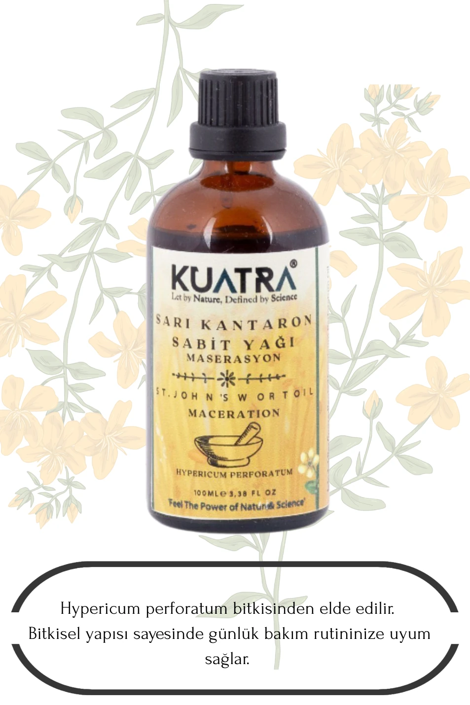 Kuatra Sarı Kantaron Sabit Yağı 100ml