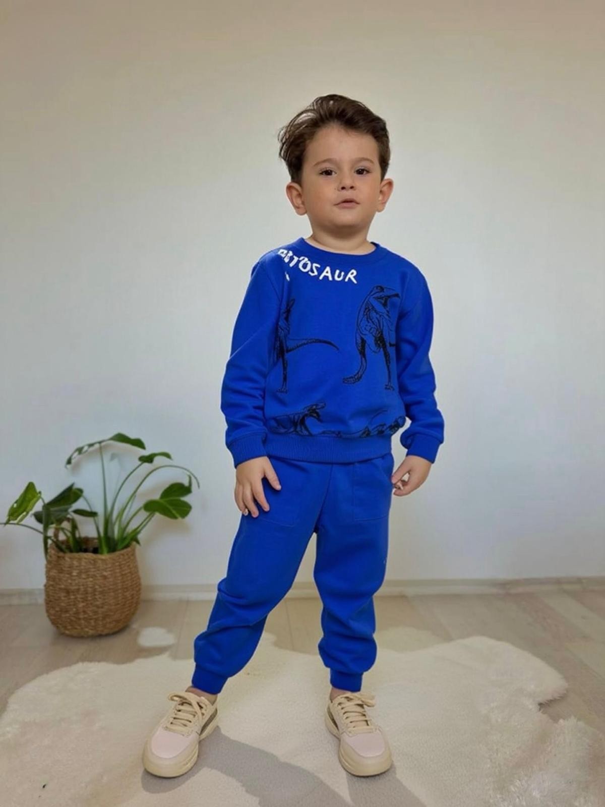 DINOZOR BASKILI ERKEK COCUK TAKIM
