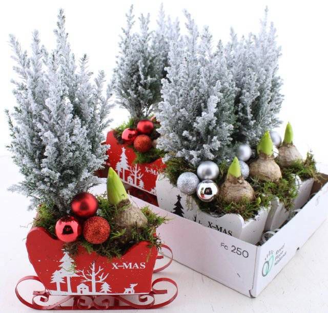 Kızak Aranjman (35 cm)