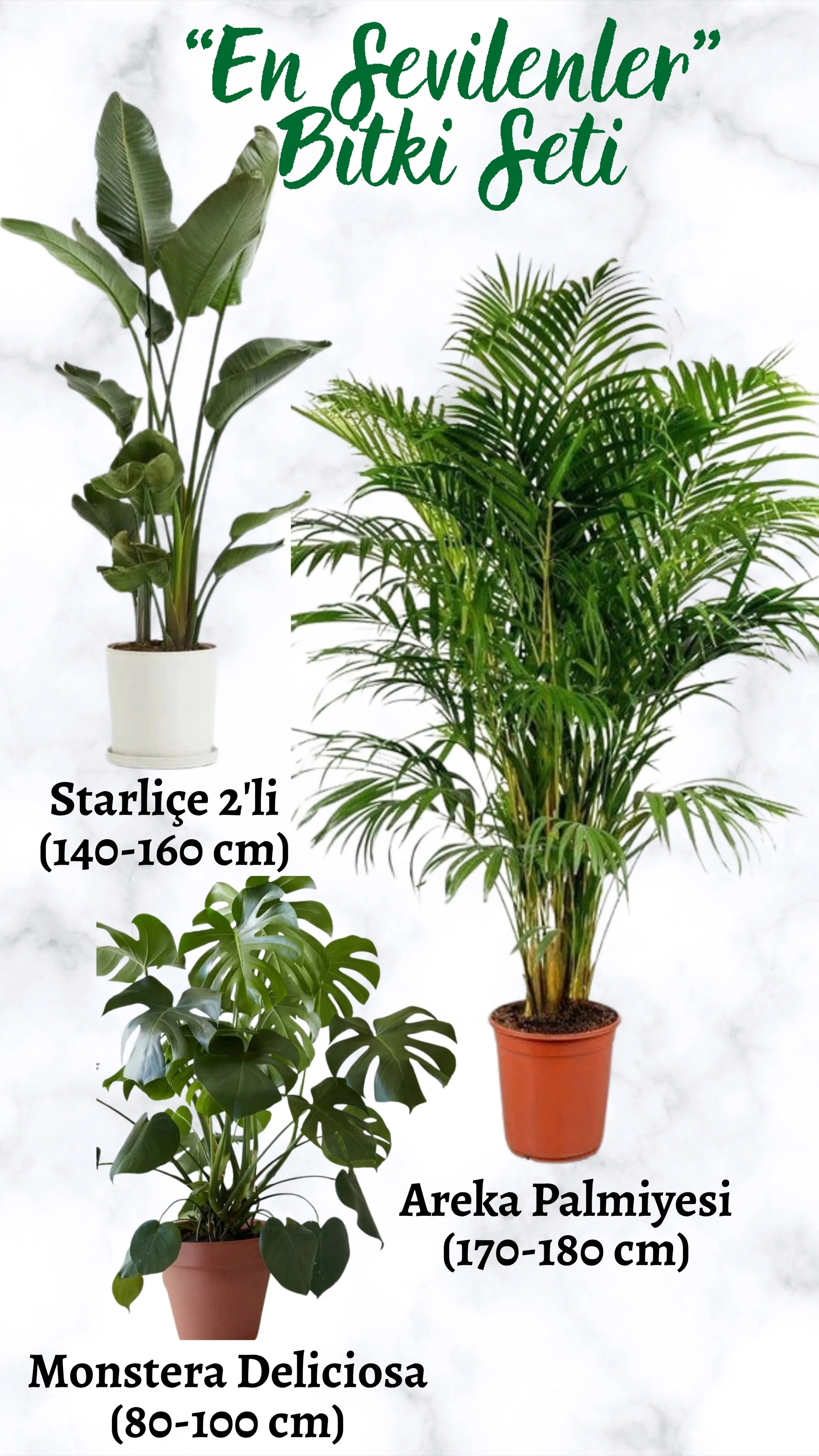 "En Sevilenler" Bitki Seti