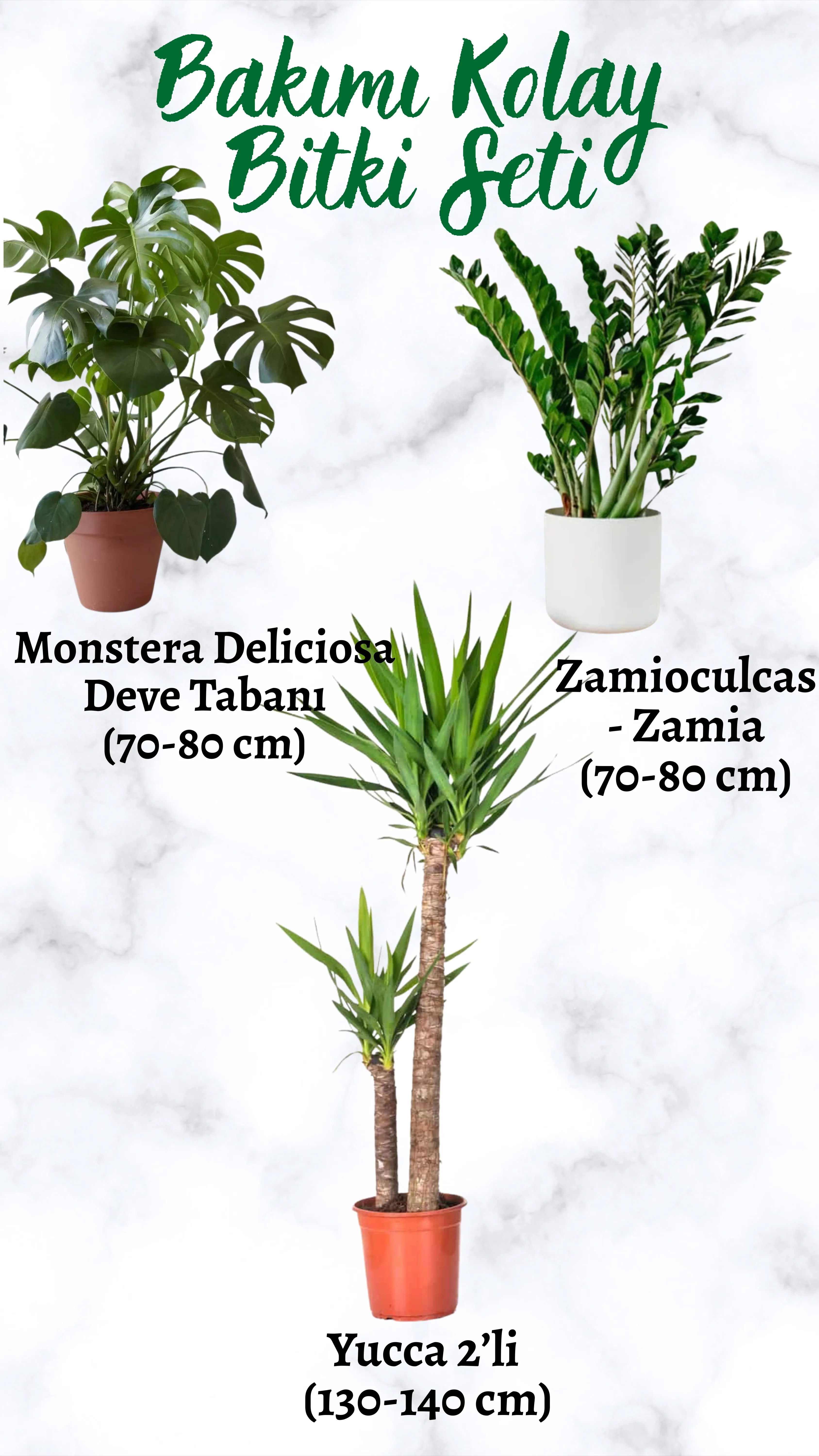 Bakımı Kolay Bitki Seti