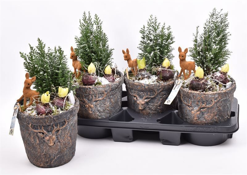 Geyik Aranjman (40 cm)