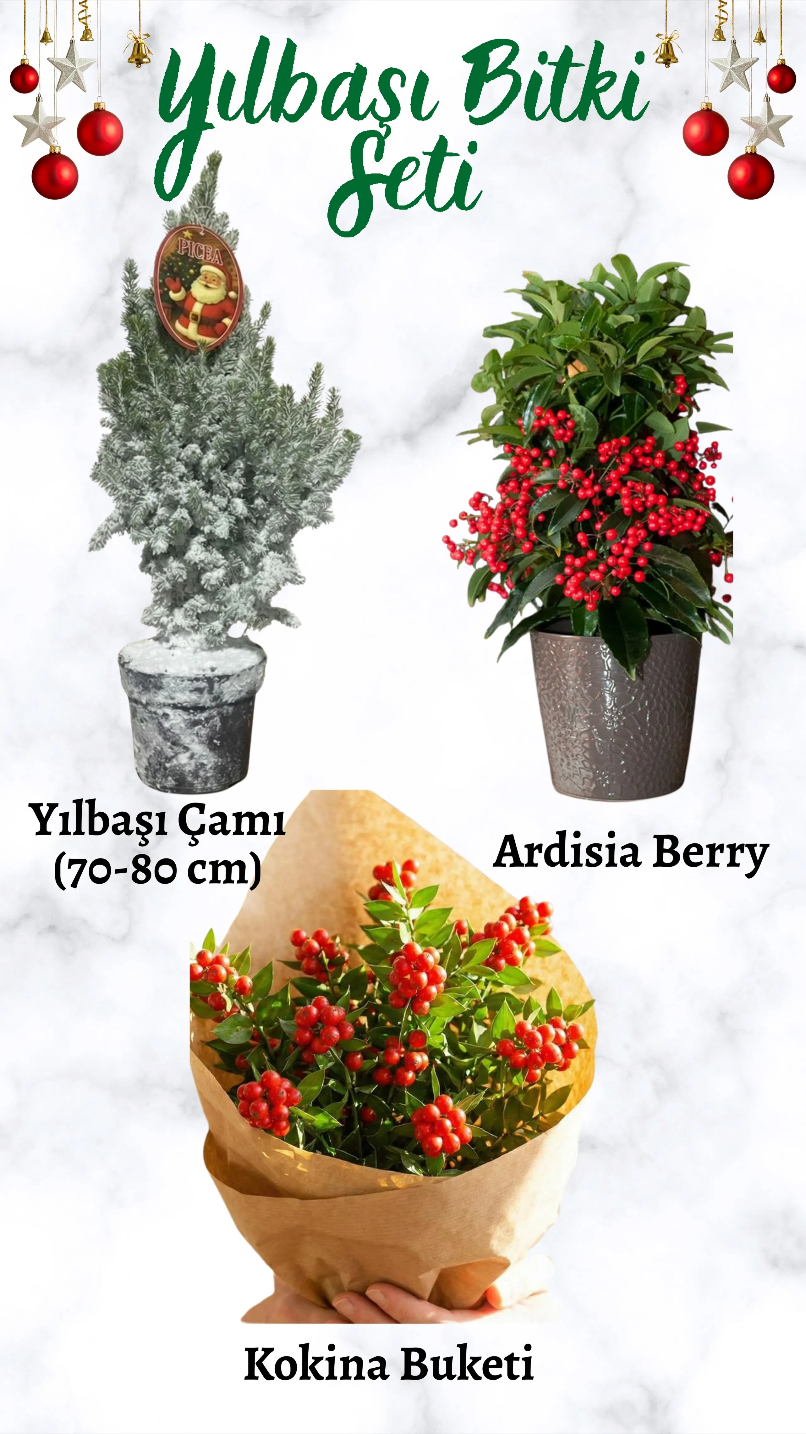 Yılbaşı Bitki Seti