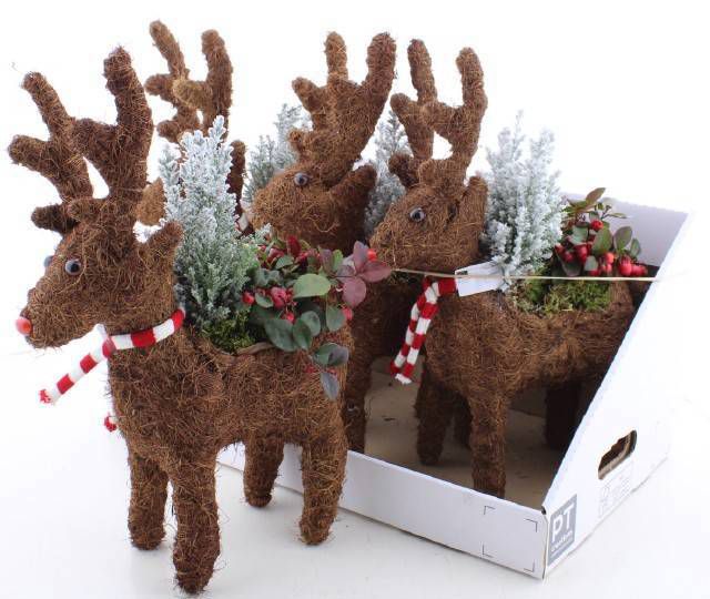 Geyik Saksı Aranjman (45 cm)