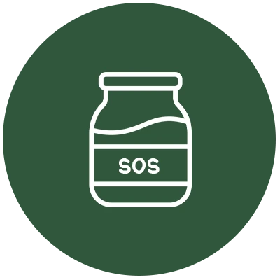 Sos Çeşitleri