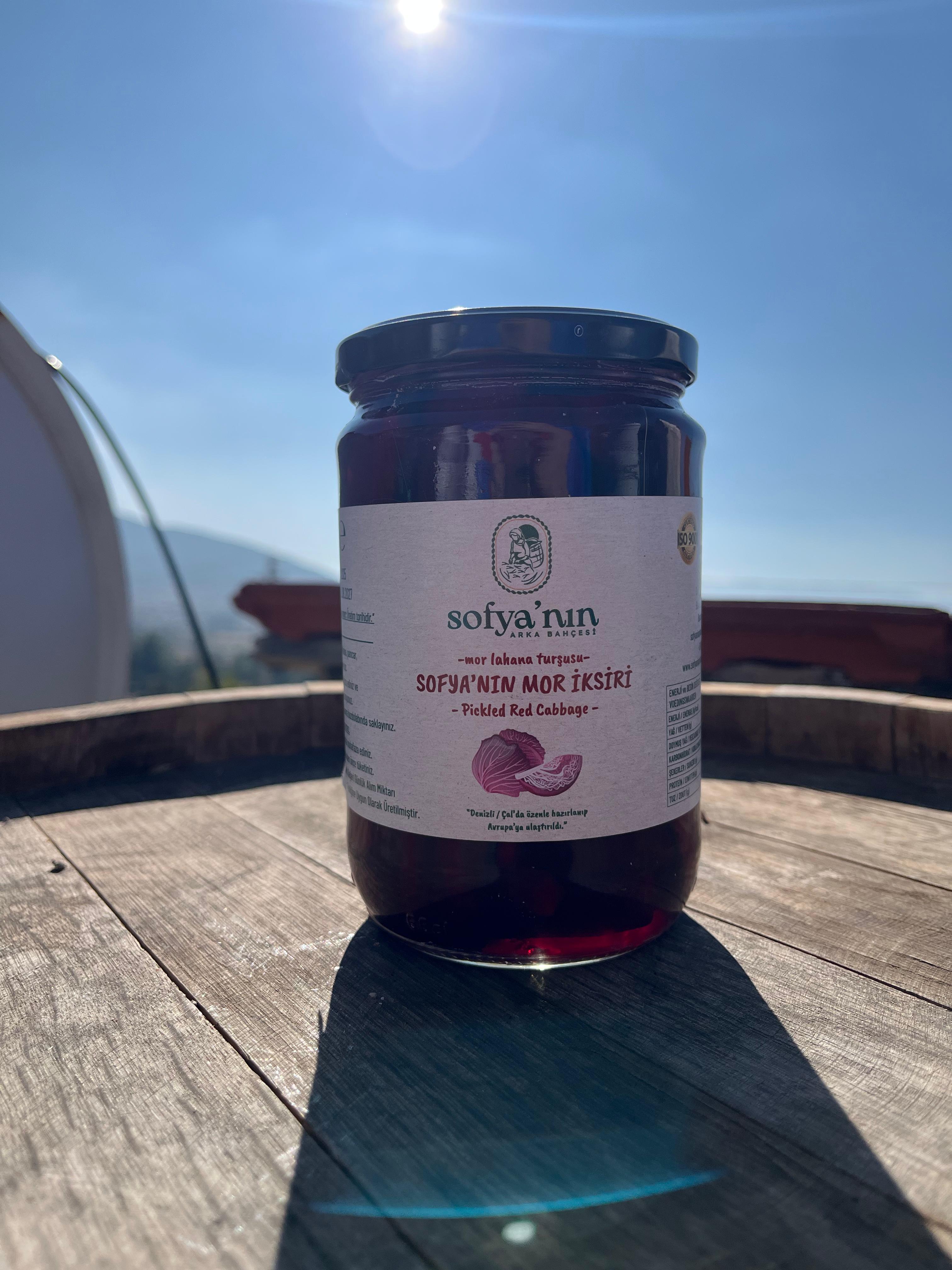 MOR İKSİR TURŞUSU