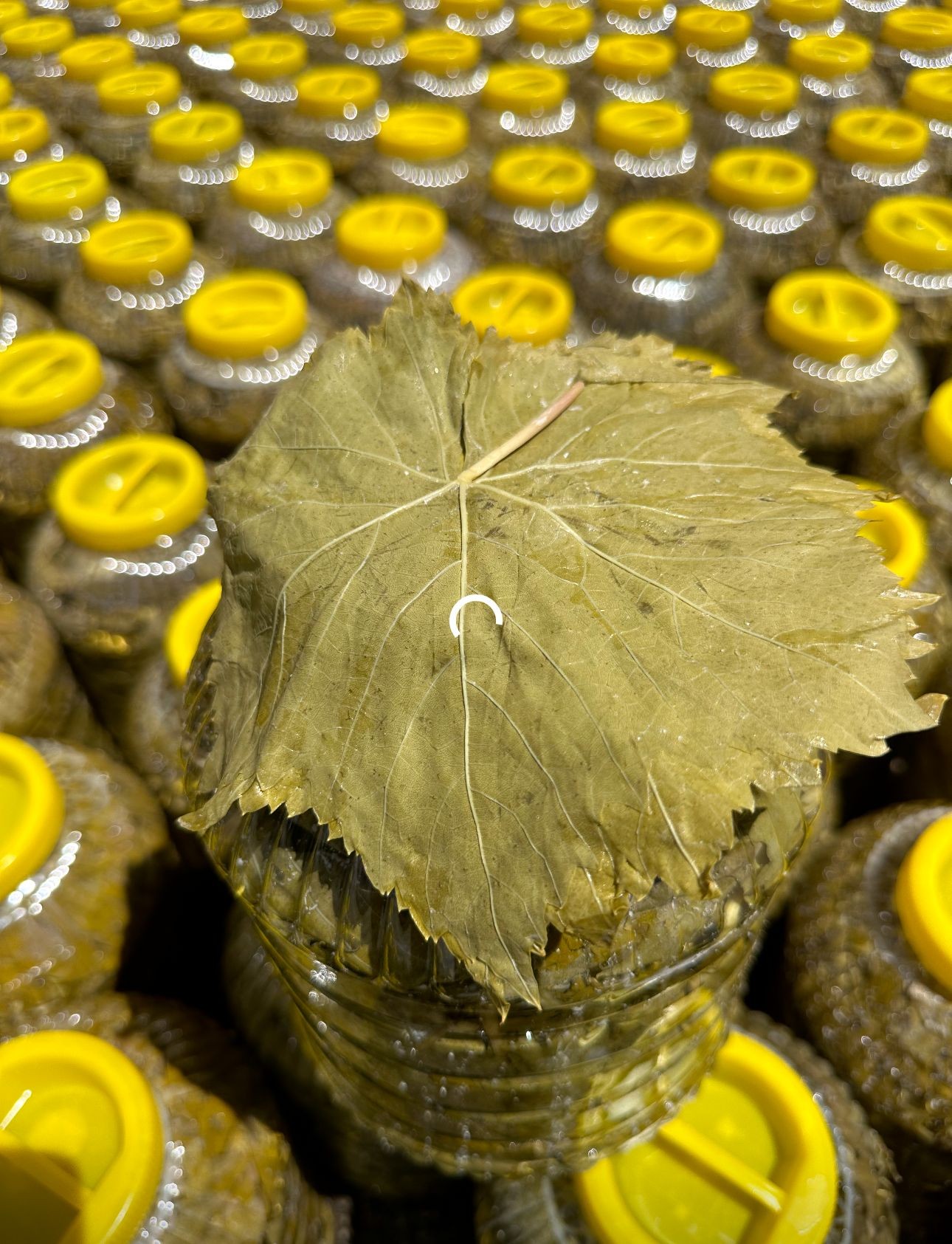 Salamura Yaprak 3kg