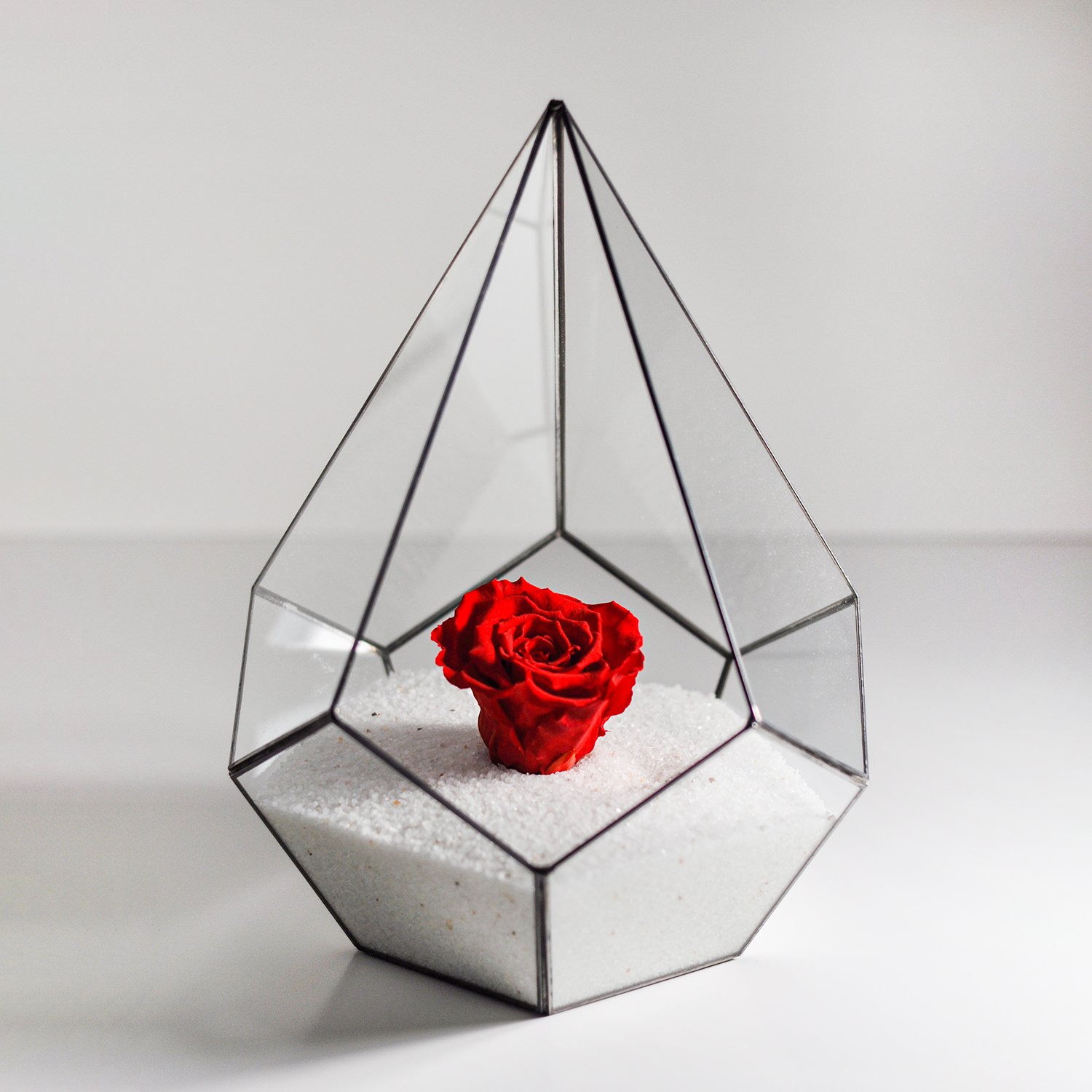 Forever Rose | Geometric Terrarium | Glass Bowl | Black & Red