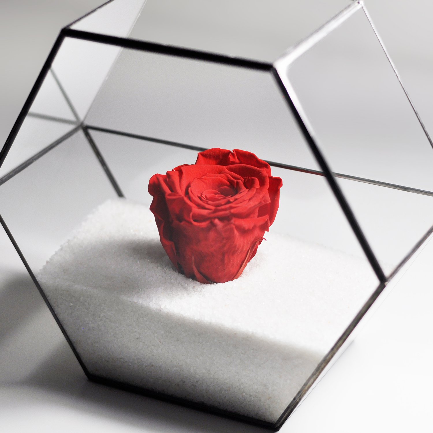 Forever Rose | Black & Red | Geometric Terrarium | Glass Bell Jar