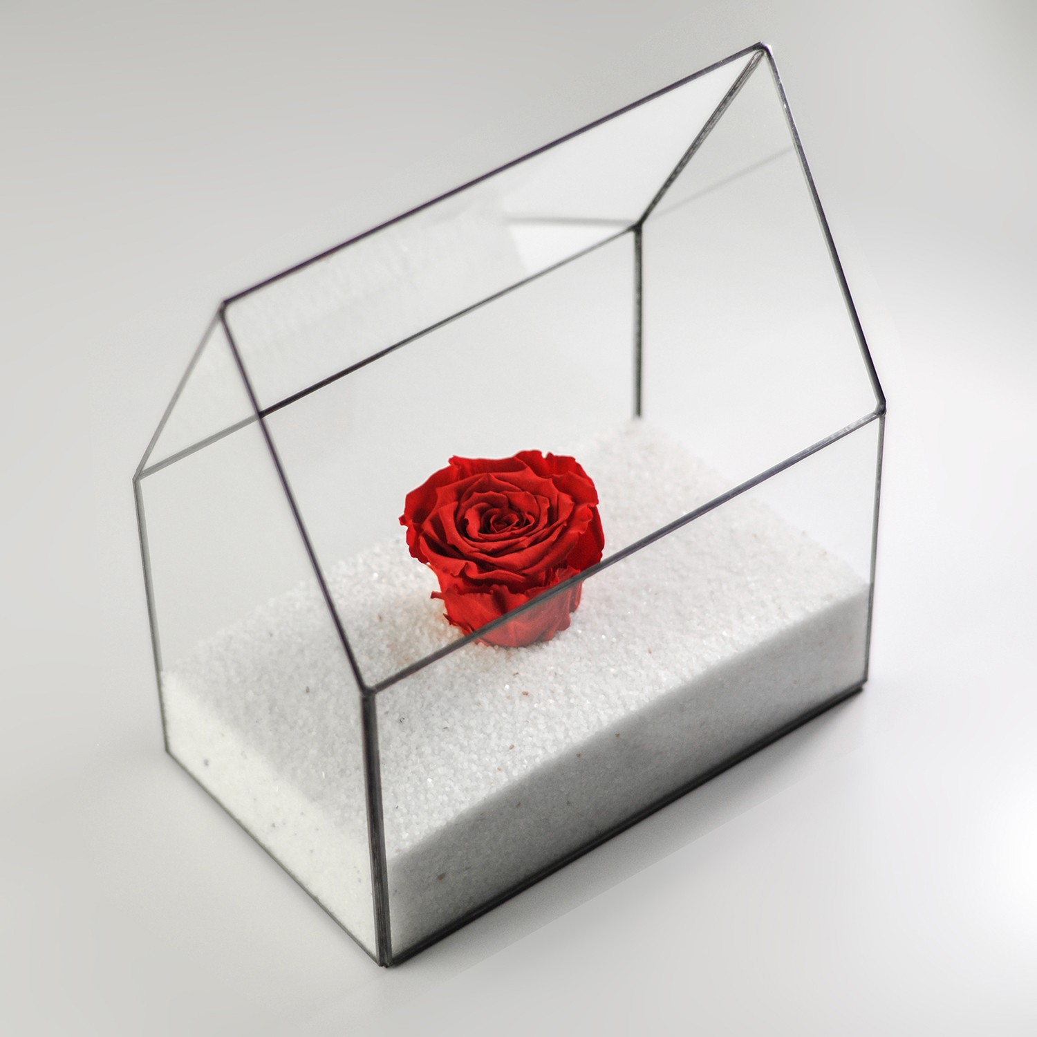 Forever Rose | Black & Red | Geometric Terrarium | Glass Bell Jar