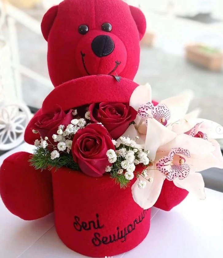 KUTULU HEDİYELİK AYICIK