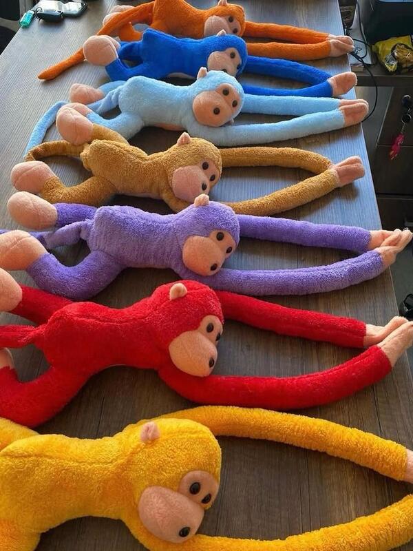 ELLERİ YAPIŞAN SALLANAN MAYMUN 