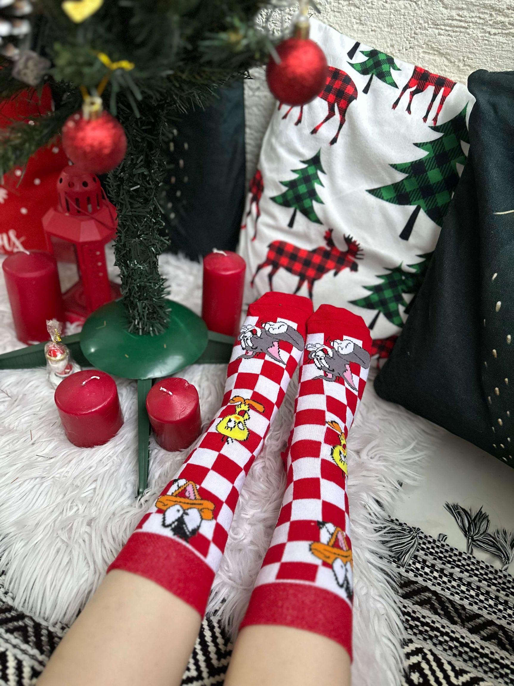 Kırmızı Kareli Çizgi Karakter Çorabı