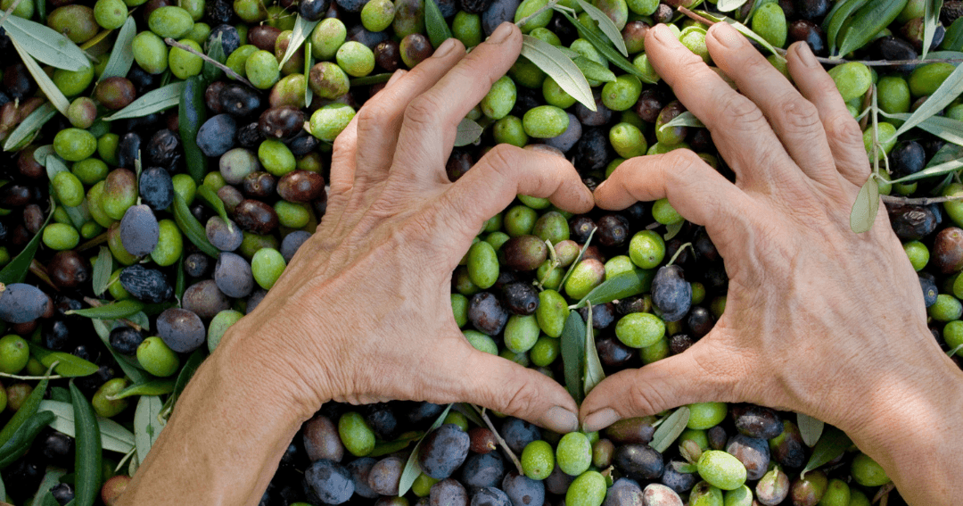 En iyi zeytin markası hangisidir? Nasıl seçilir?