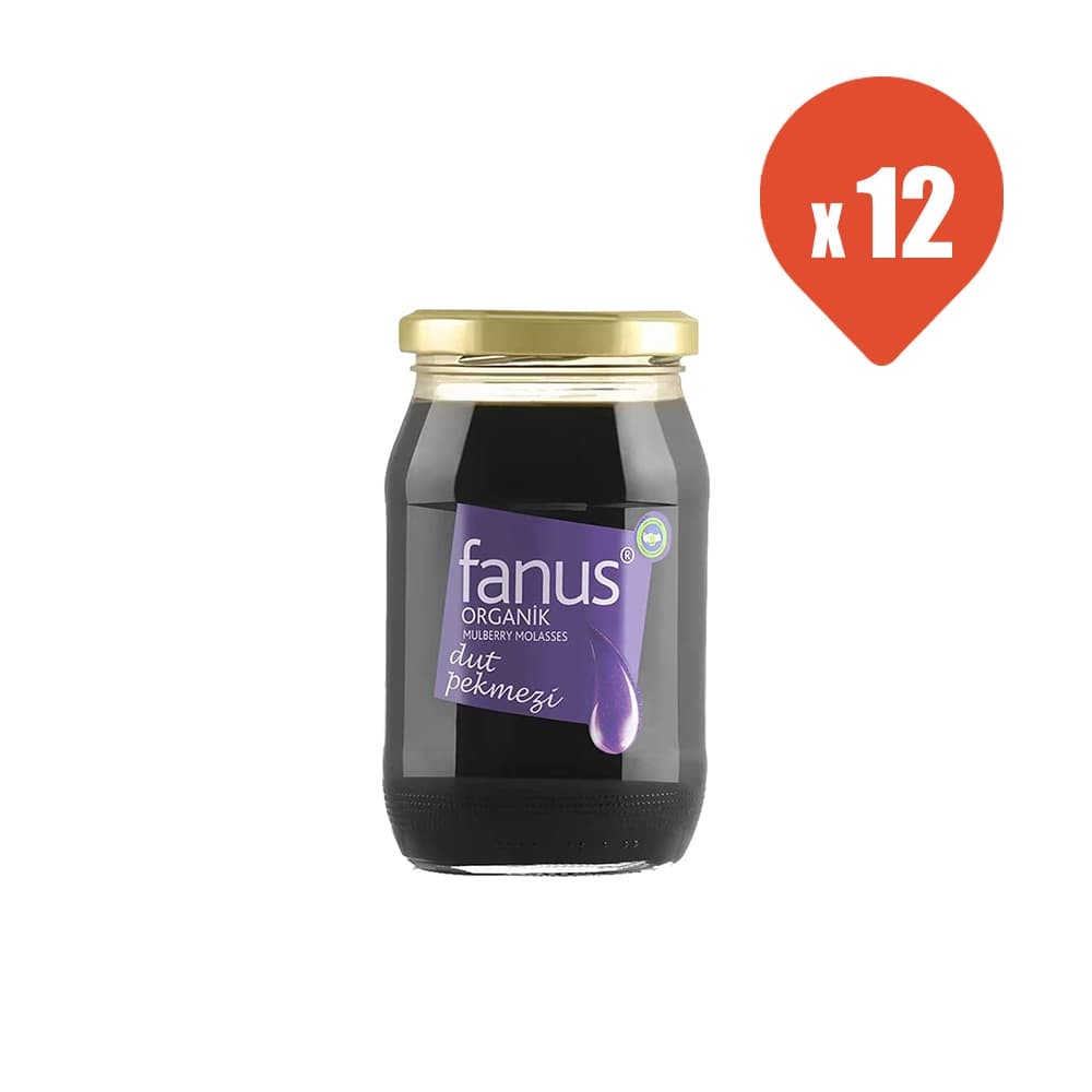 Fanus Organik Dut Pekmezi 450 gr x 12