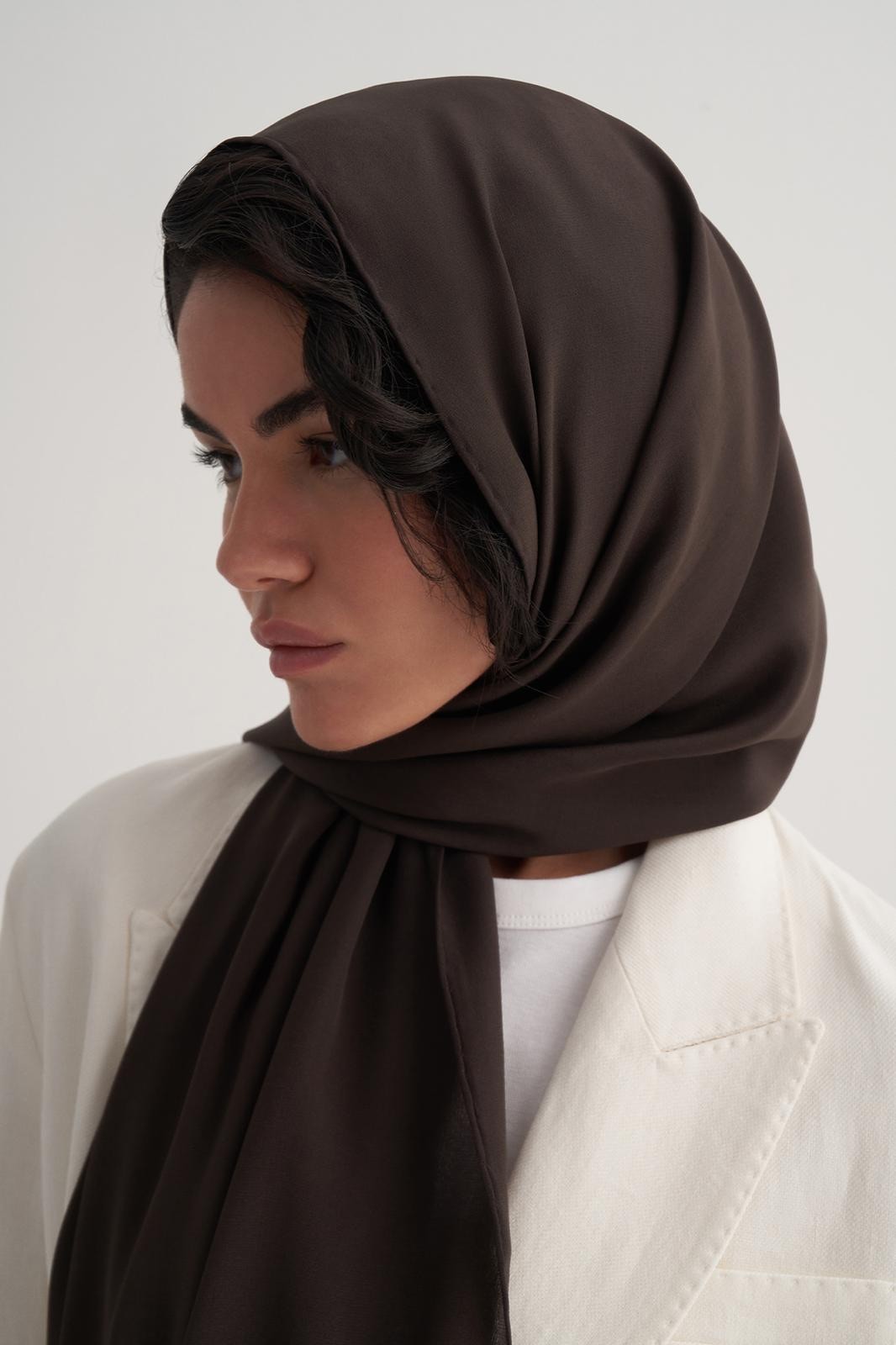 Dark Brown Silk