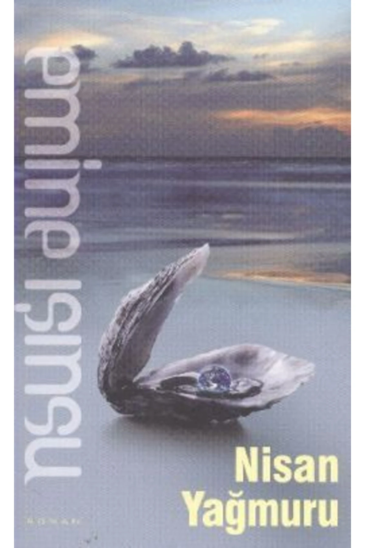 Nisan Yağmuru-Emine Işınsu