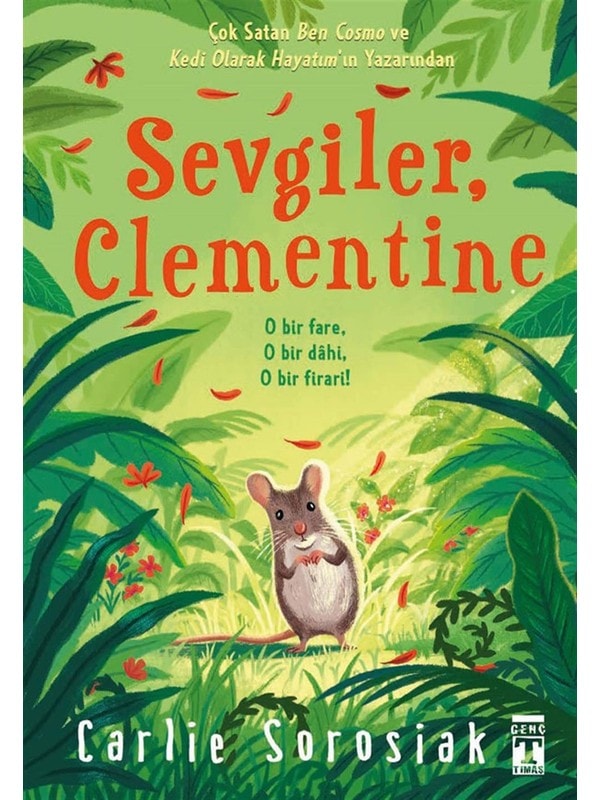 Sevgiler, Clementine - Carlie Sorosiak