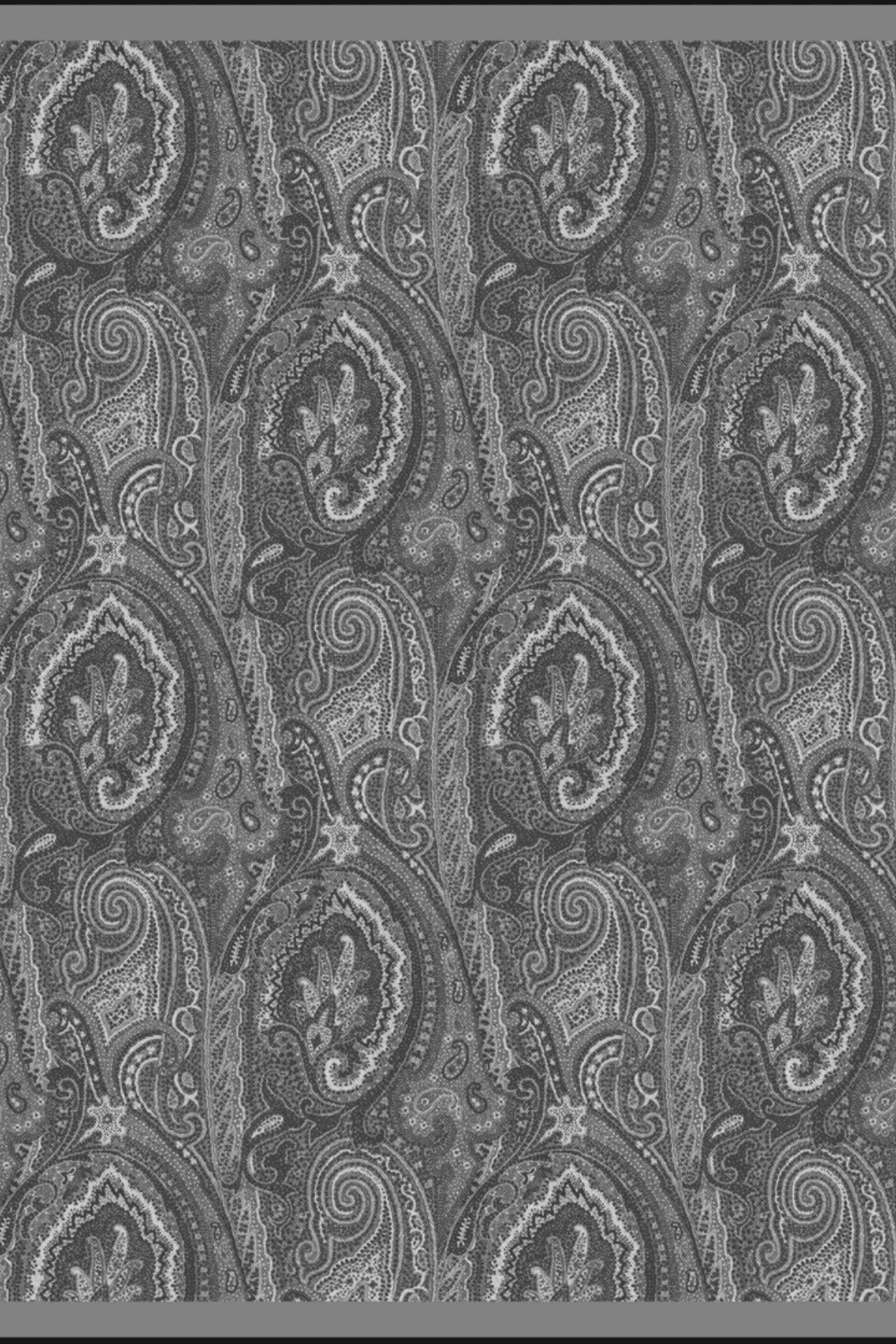 GRAY ALBA SCARF