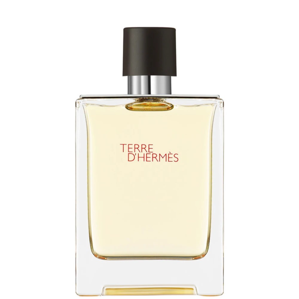 Hermes Terre D’Hermes EDT 100 ml Erkek Parfüm