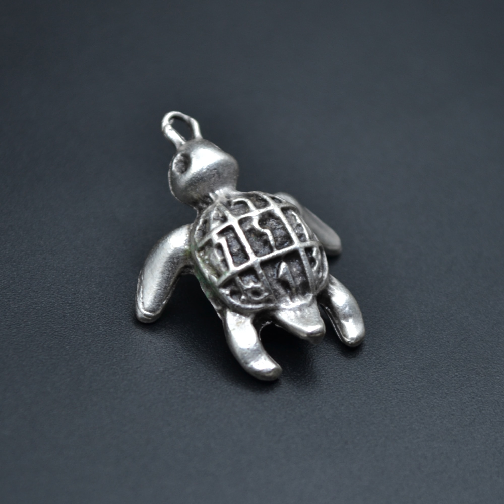 Kaplumbağ Kolye - Gümüş ( Silver ) Renk - 60 cm Deri İp Kolye