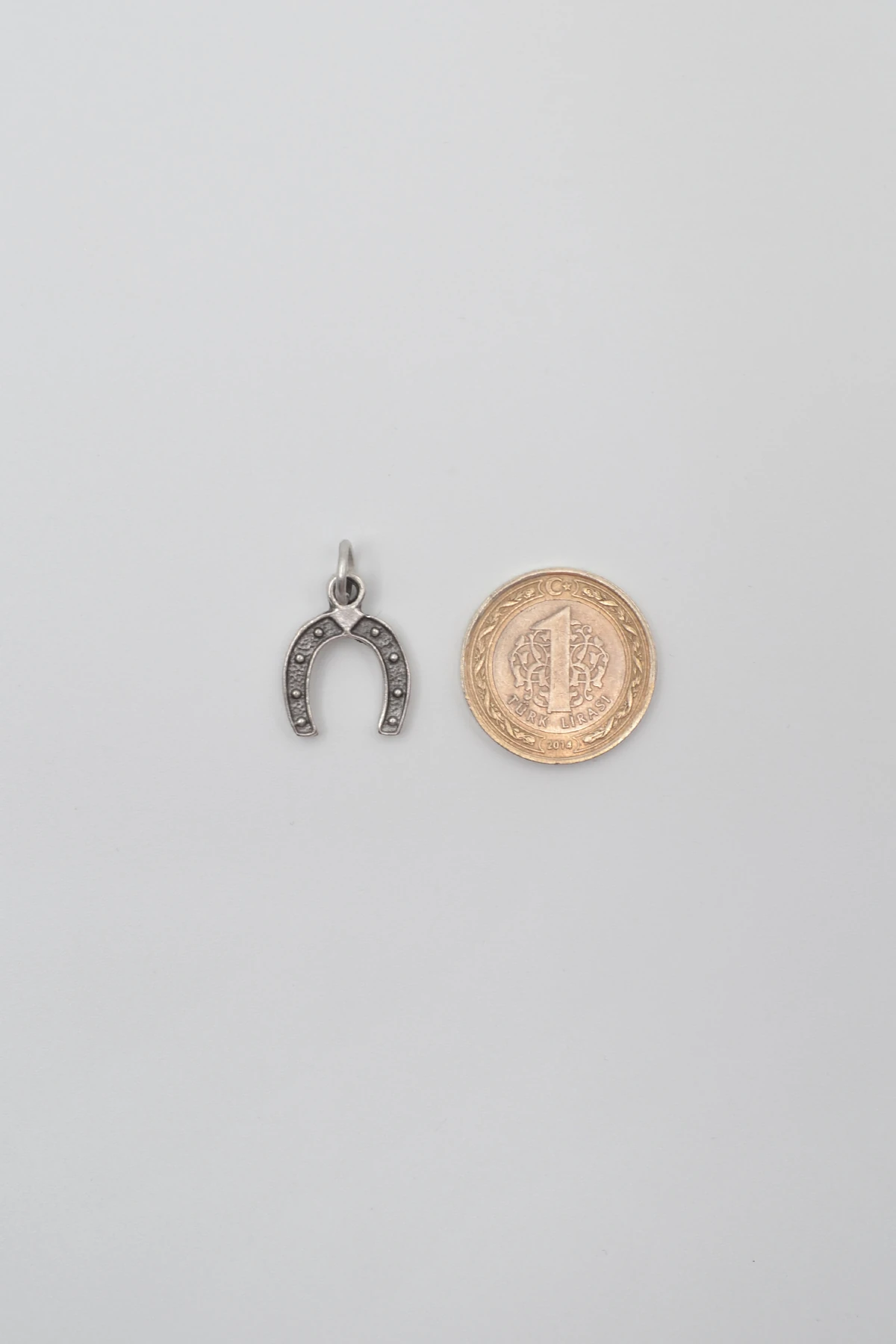 Şans Nalı Kolye Ucu - Gümüş ( Silver ) Renk