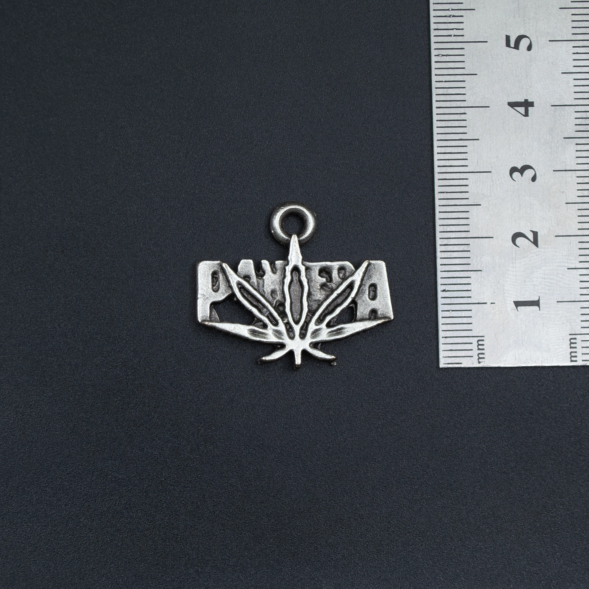 Pantera Kolye - Gümüş ( Silver ) Renk - 60 cm Deri İp Kolye