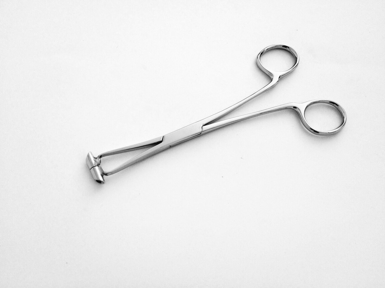 True Septum Forceps 6.25''