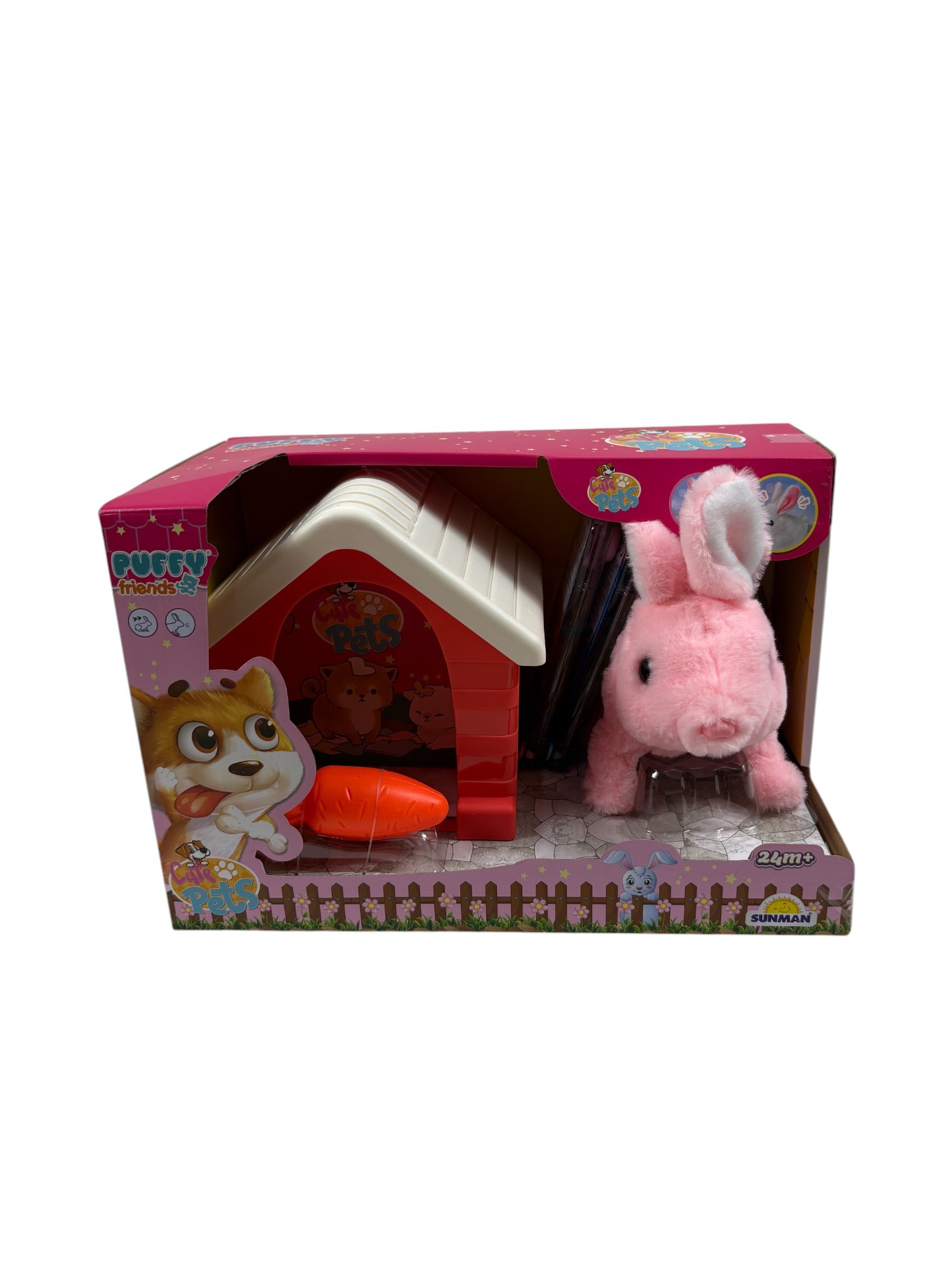 KULUBELİ KEDİ