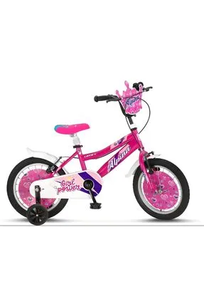 16 JANT BİSİKLET ALPİNA