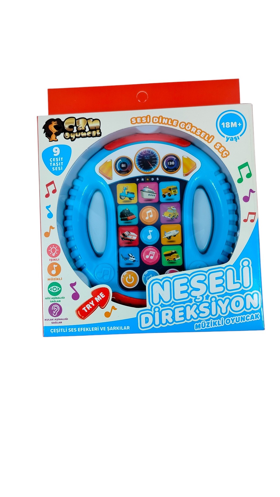 TÜRKÇE DİREKSİYON KUTULU