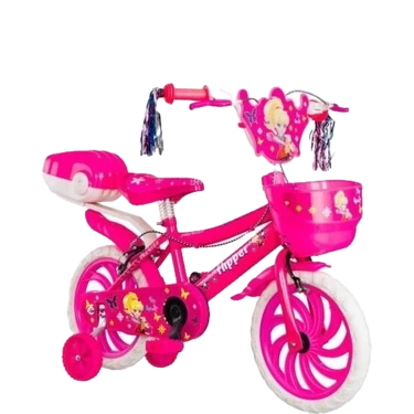 16 JANT BİSİKLET ALPİNA