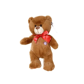 AYI ARKADAŞLAR AYAKTA KL 24