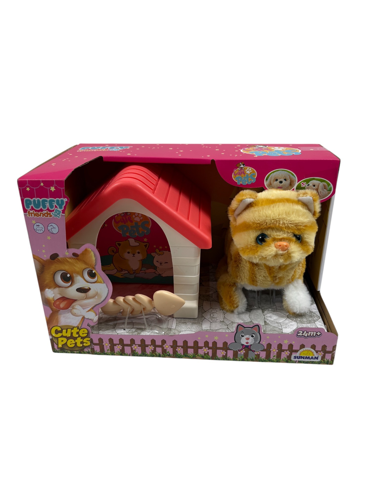 KULUBELİ KEDİ