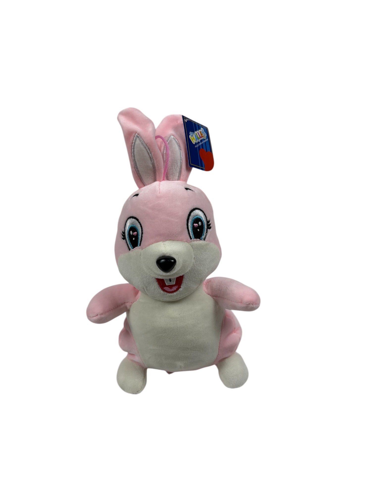 ASORTİLER 20 CM