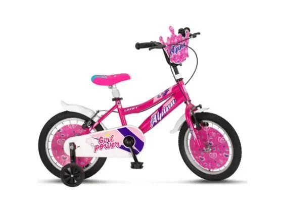 20 JANT BİSİKLET ALPİNA