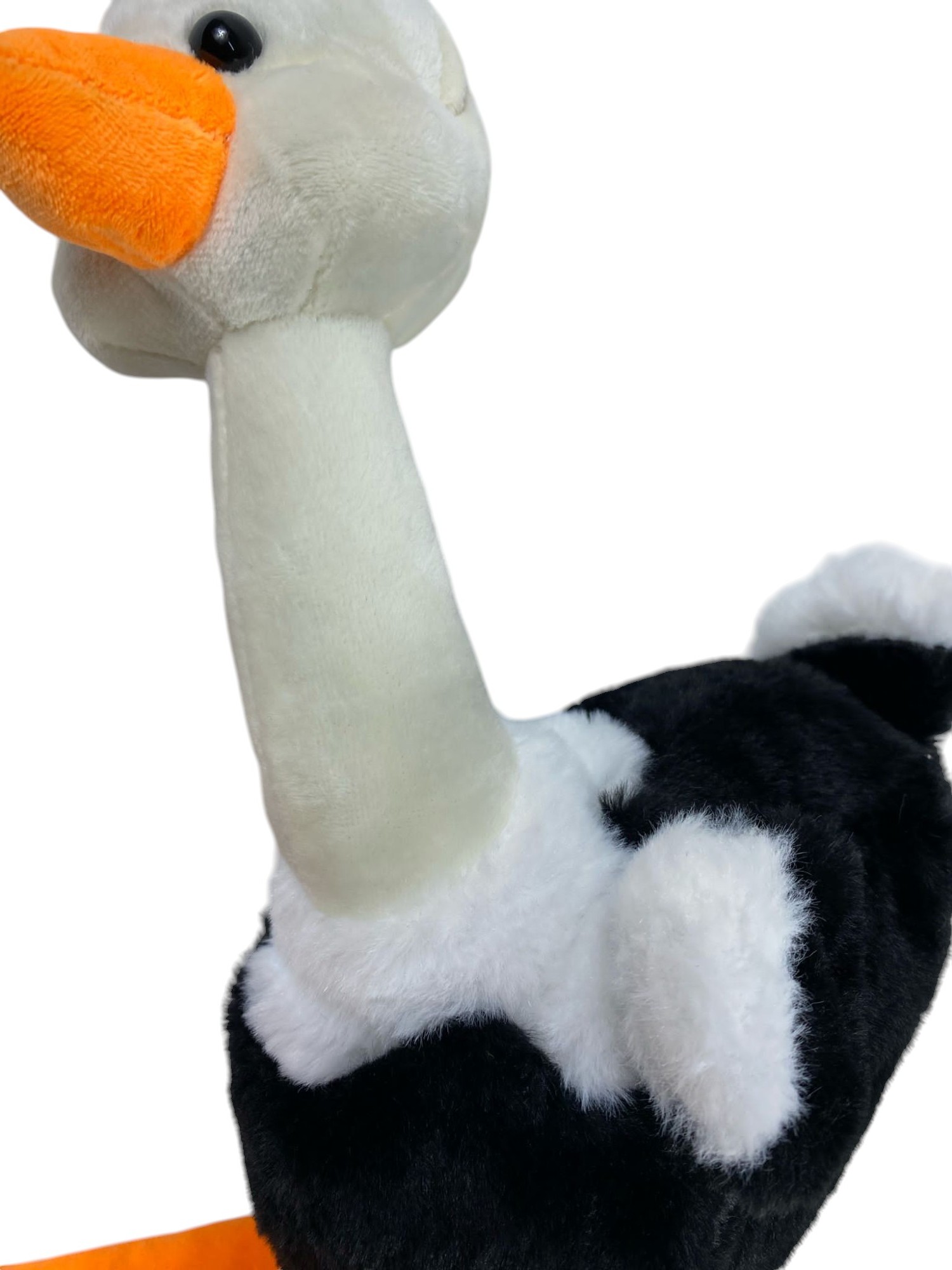 DEVE KUŞU 40 CM