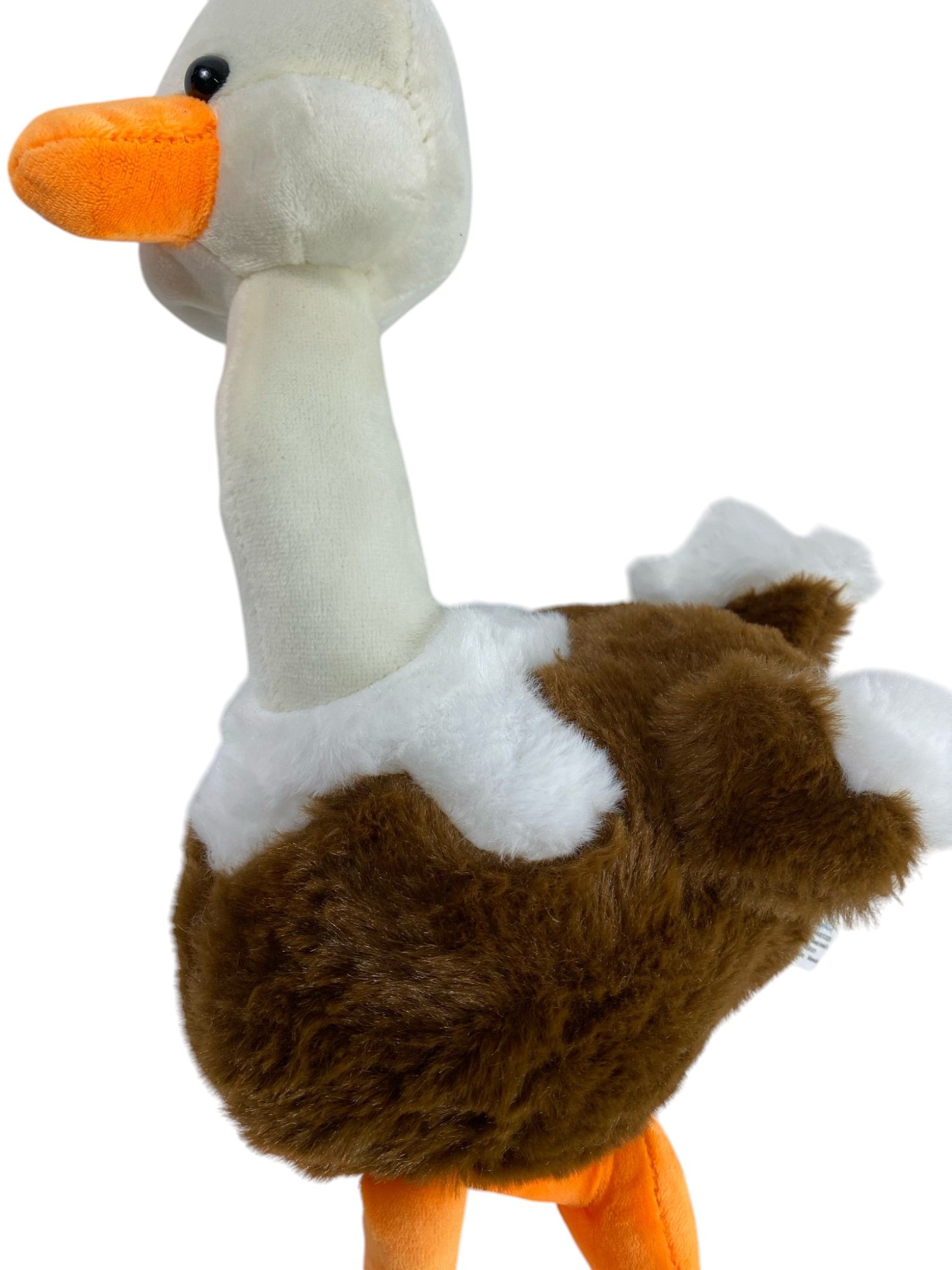 DEVE KUŞU 40 CM