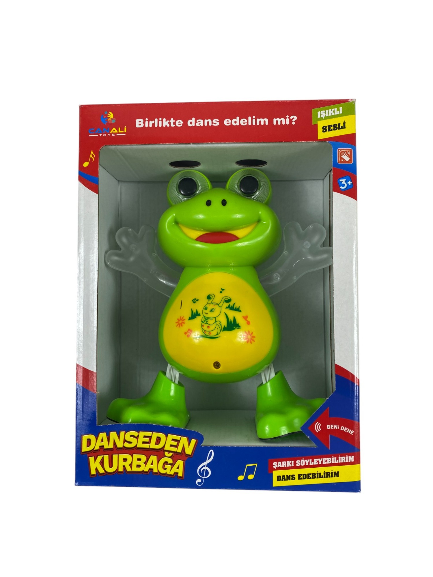 DANSCI KURBAĞA KUT KL36