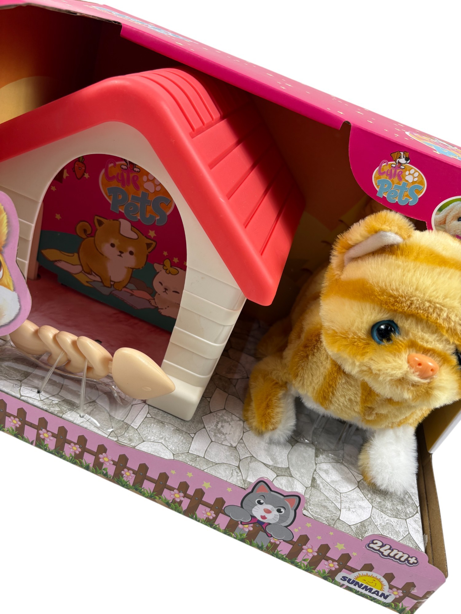 KULUBELİ KEDİ