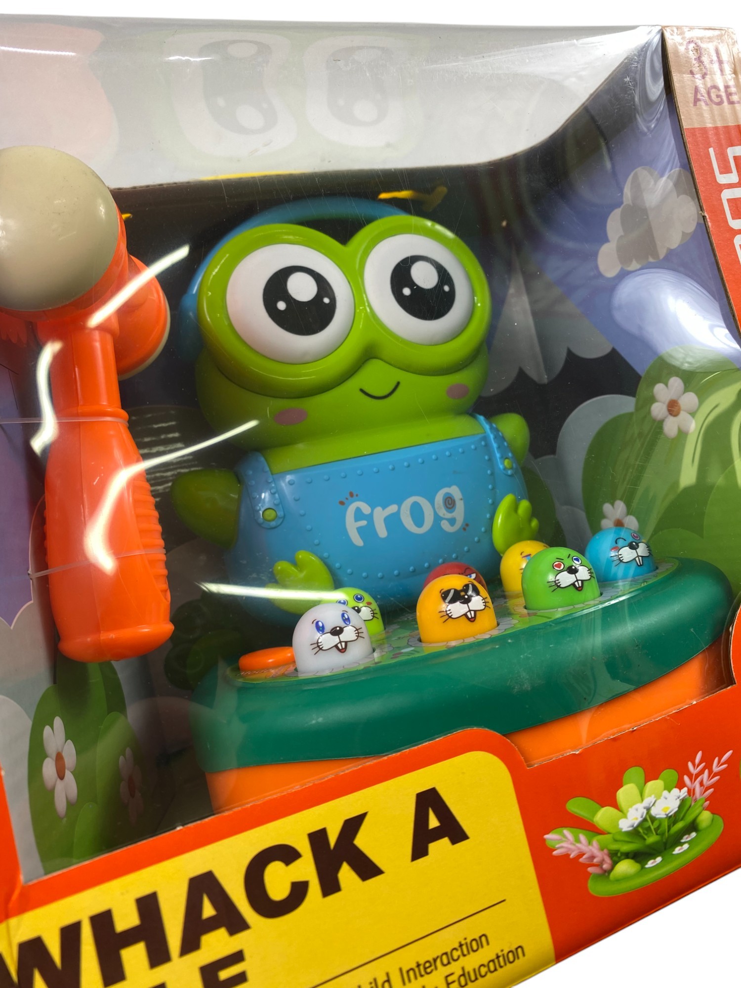 KUTULU TOKMAKLI KÖSTEBEK OYUNU