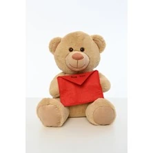 45 CM MEKTUPLU AYICIK